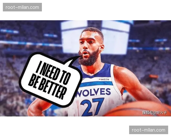 森林狼防守资源评估：戈贝尔护框与麦克丹尼尔斯领防组合